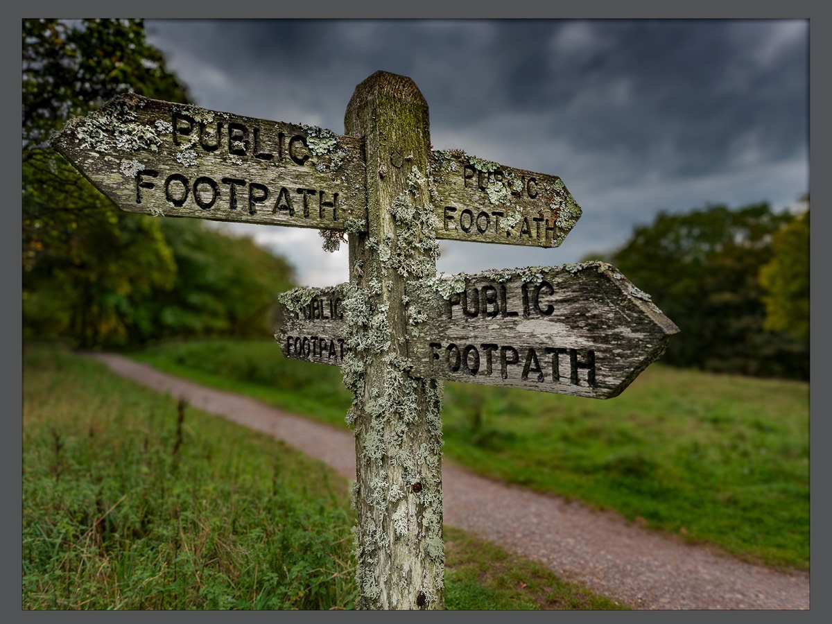 Which Way?