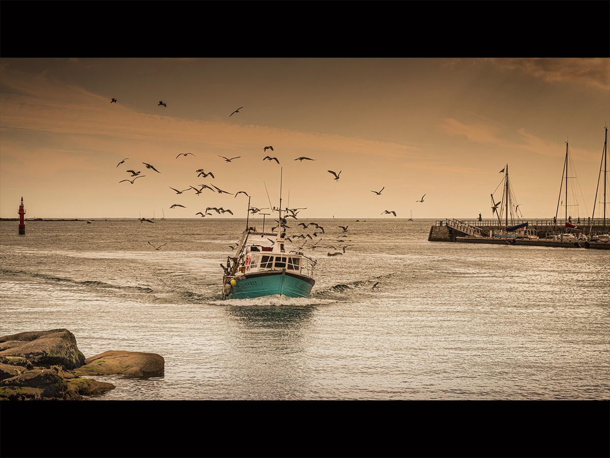 Evening Catch