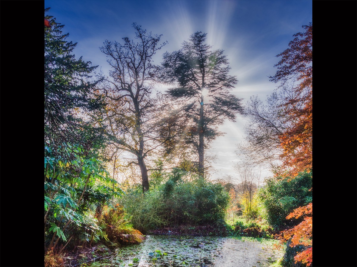 Sylvan Pool