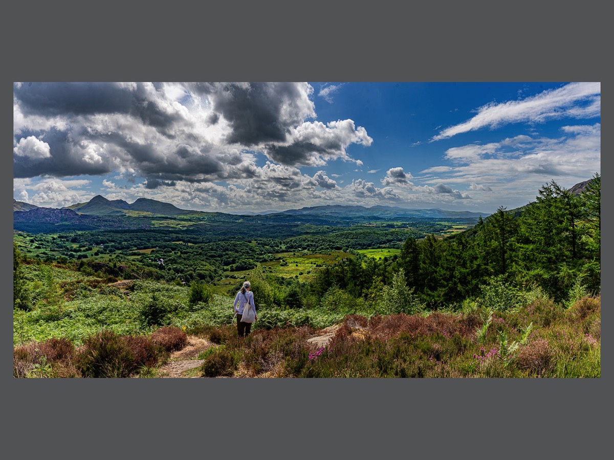 View toward Garreg