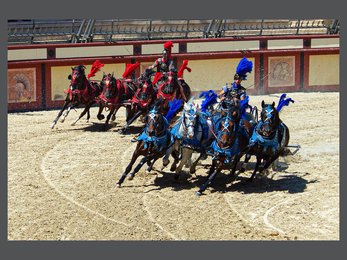  Bet on Red!