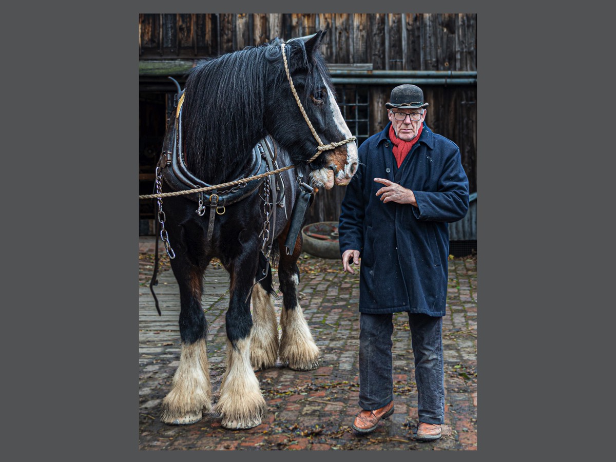  Talk to the Horse!