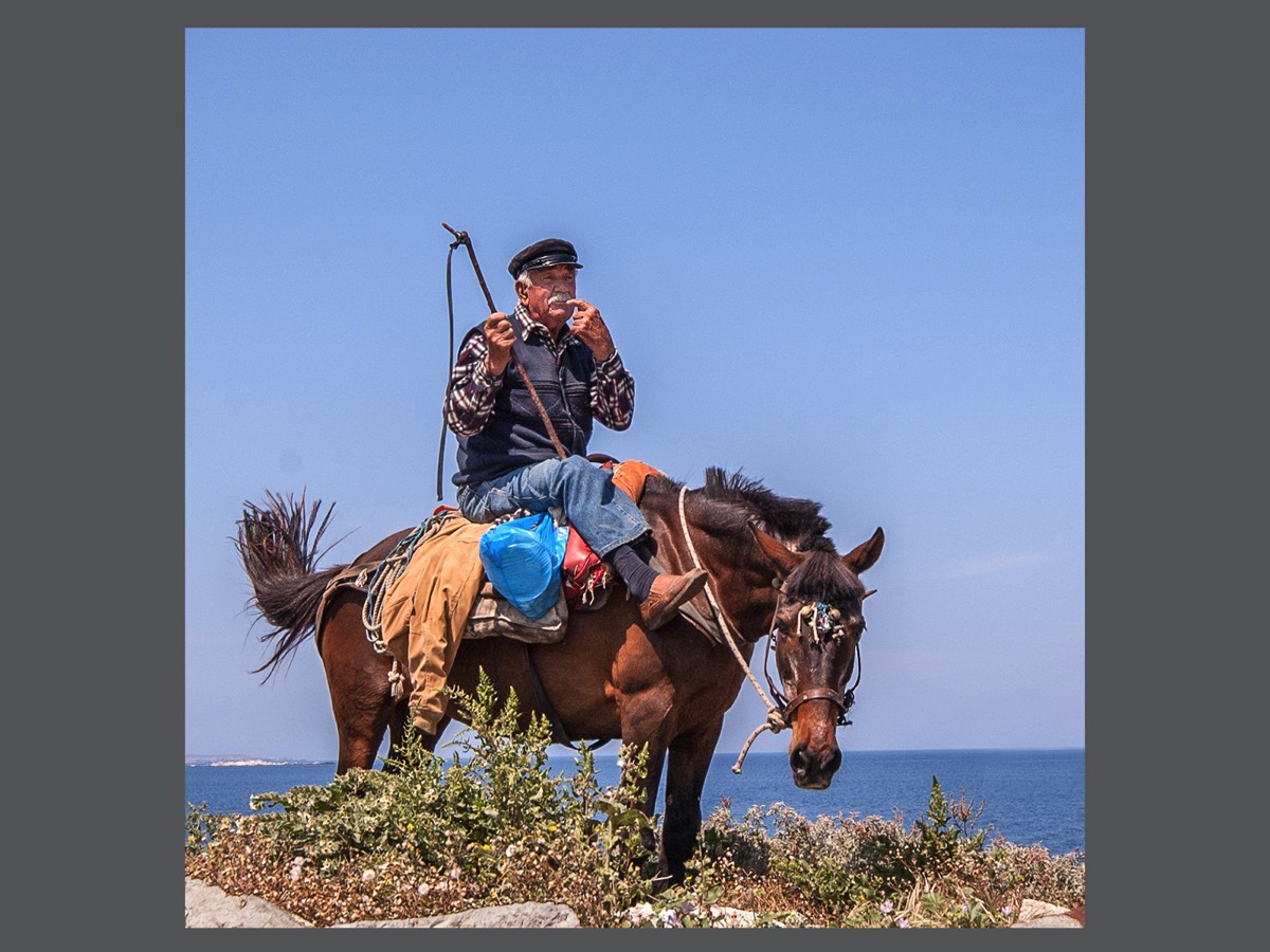  Where is My Horse?