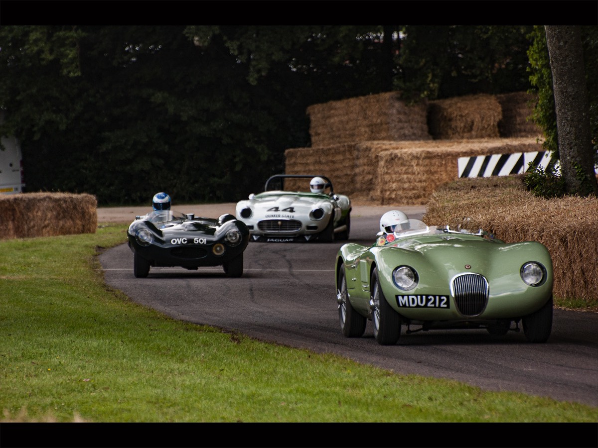 Big Cats at Goodwood