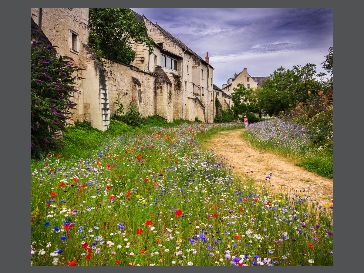 PeacefulPath II