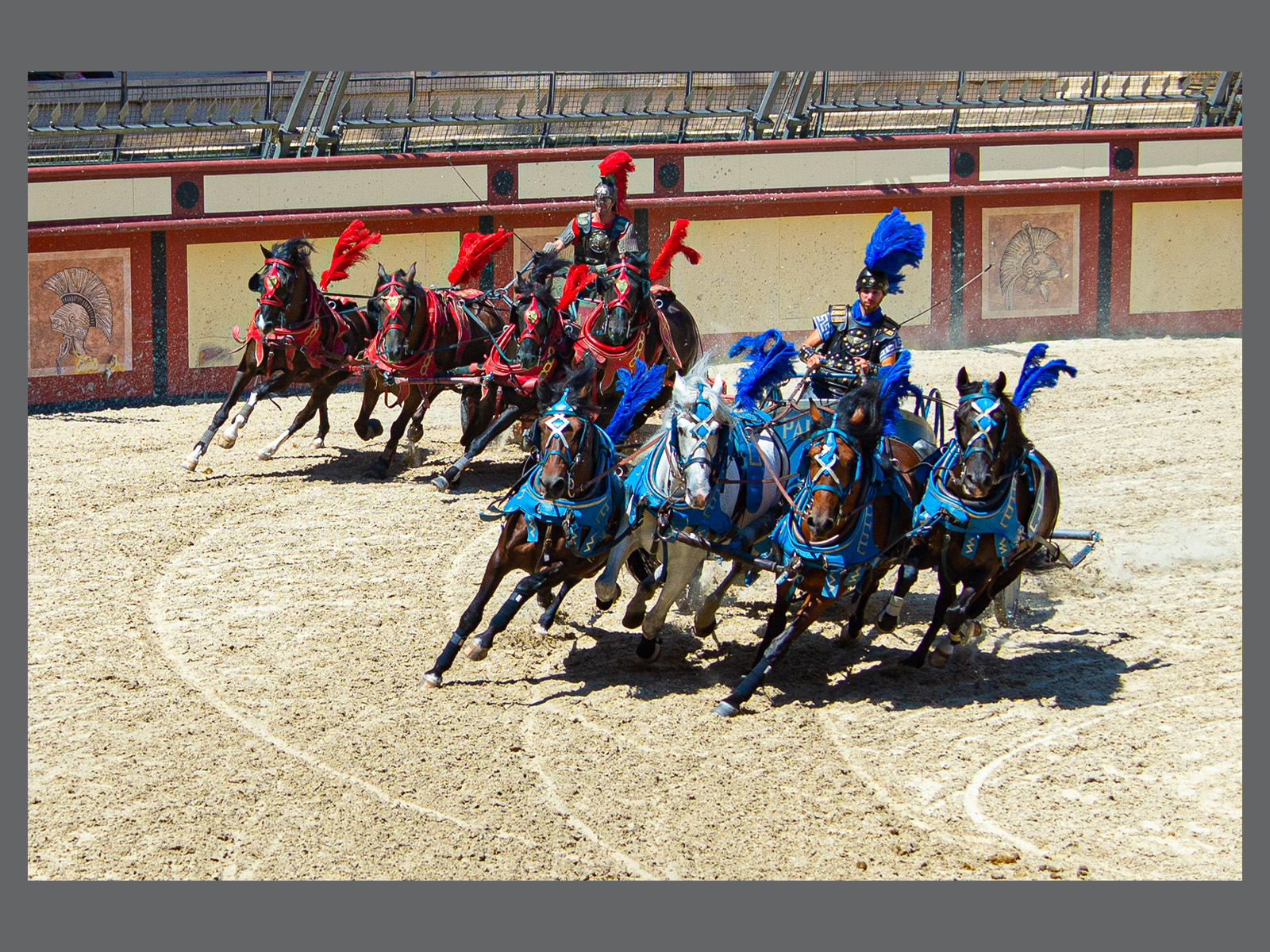  Bet on Red!