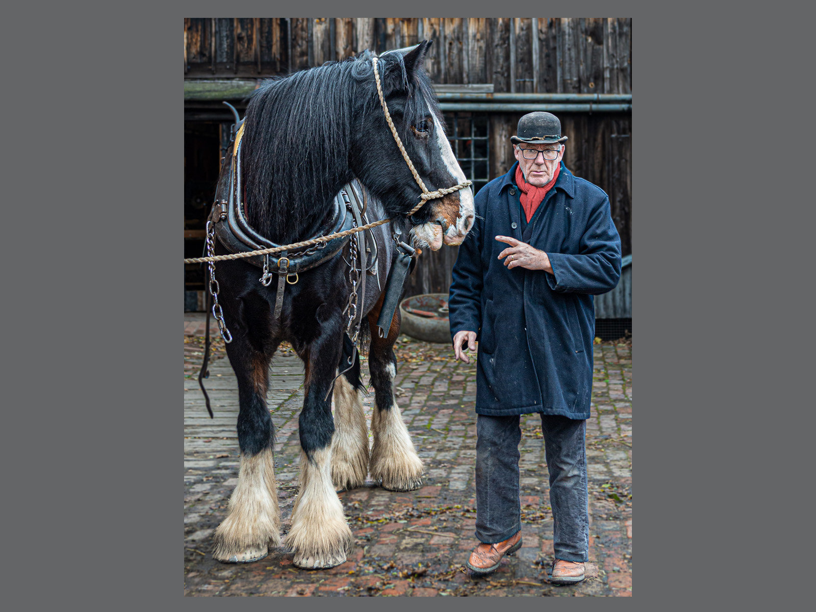  Talk to the Horse!