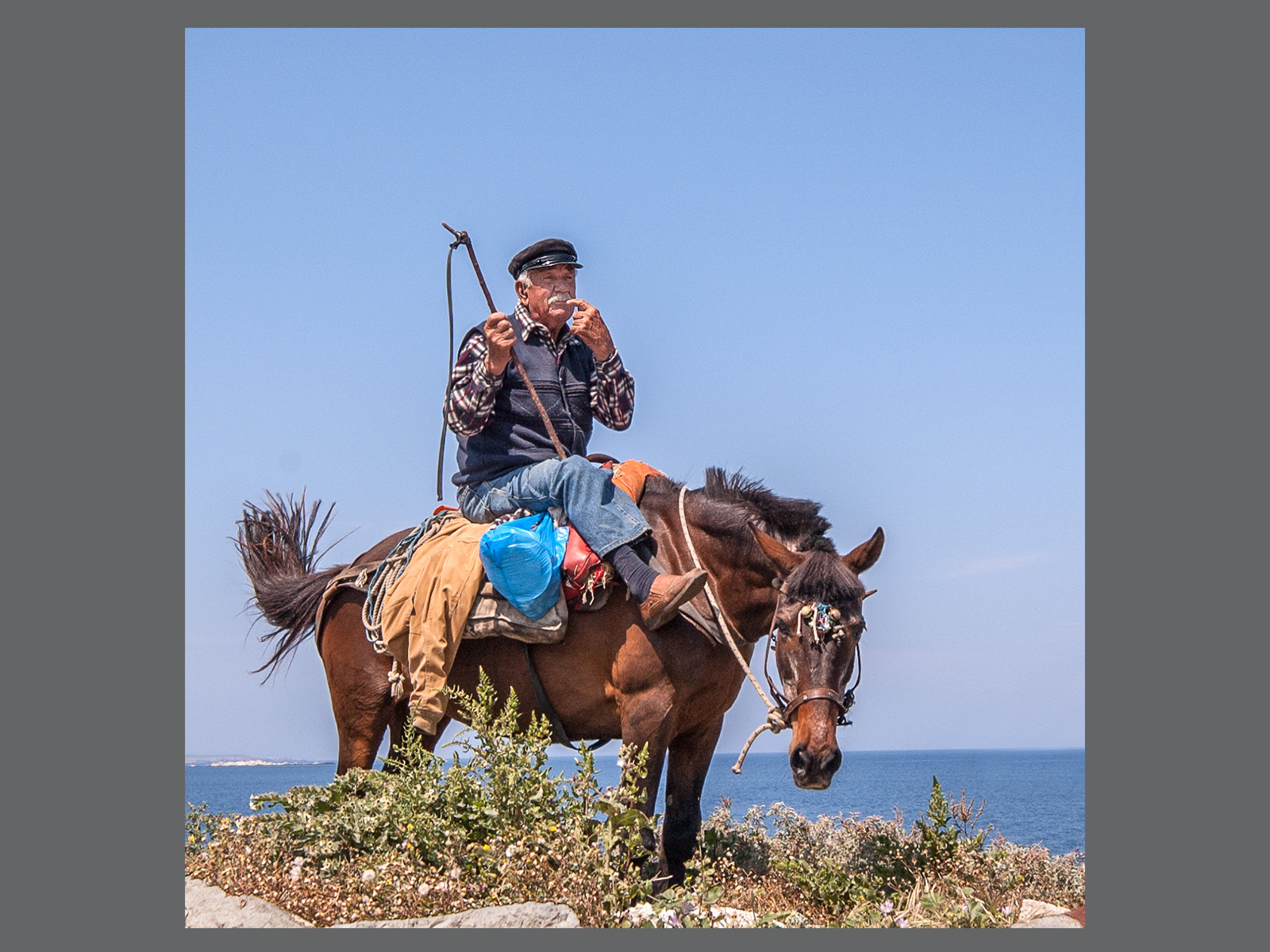  Where's My Horse?