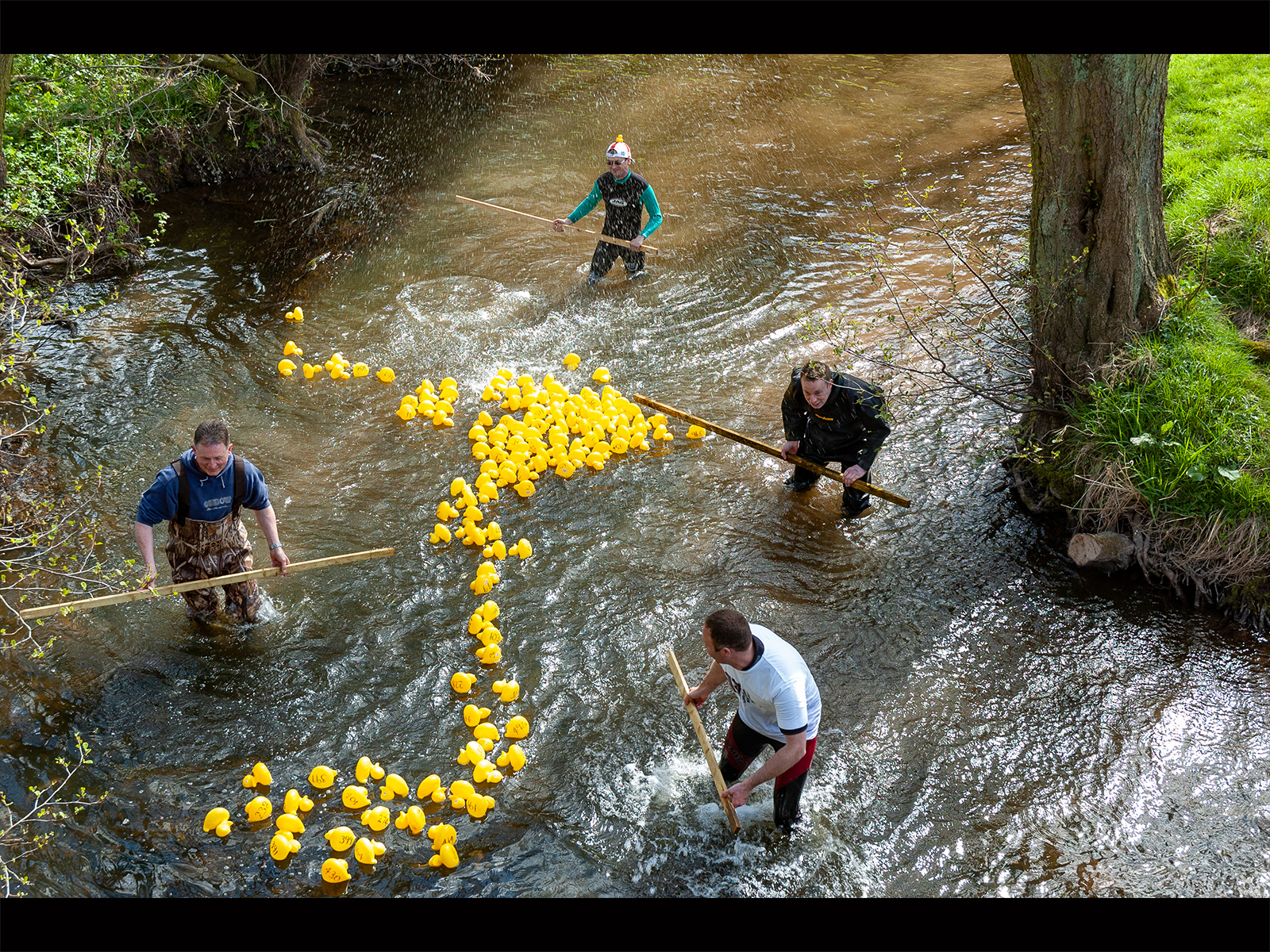 Duck Race