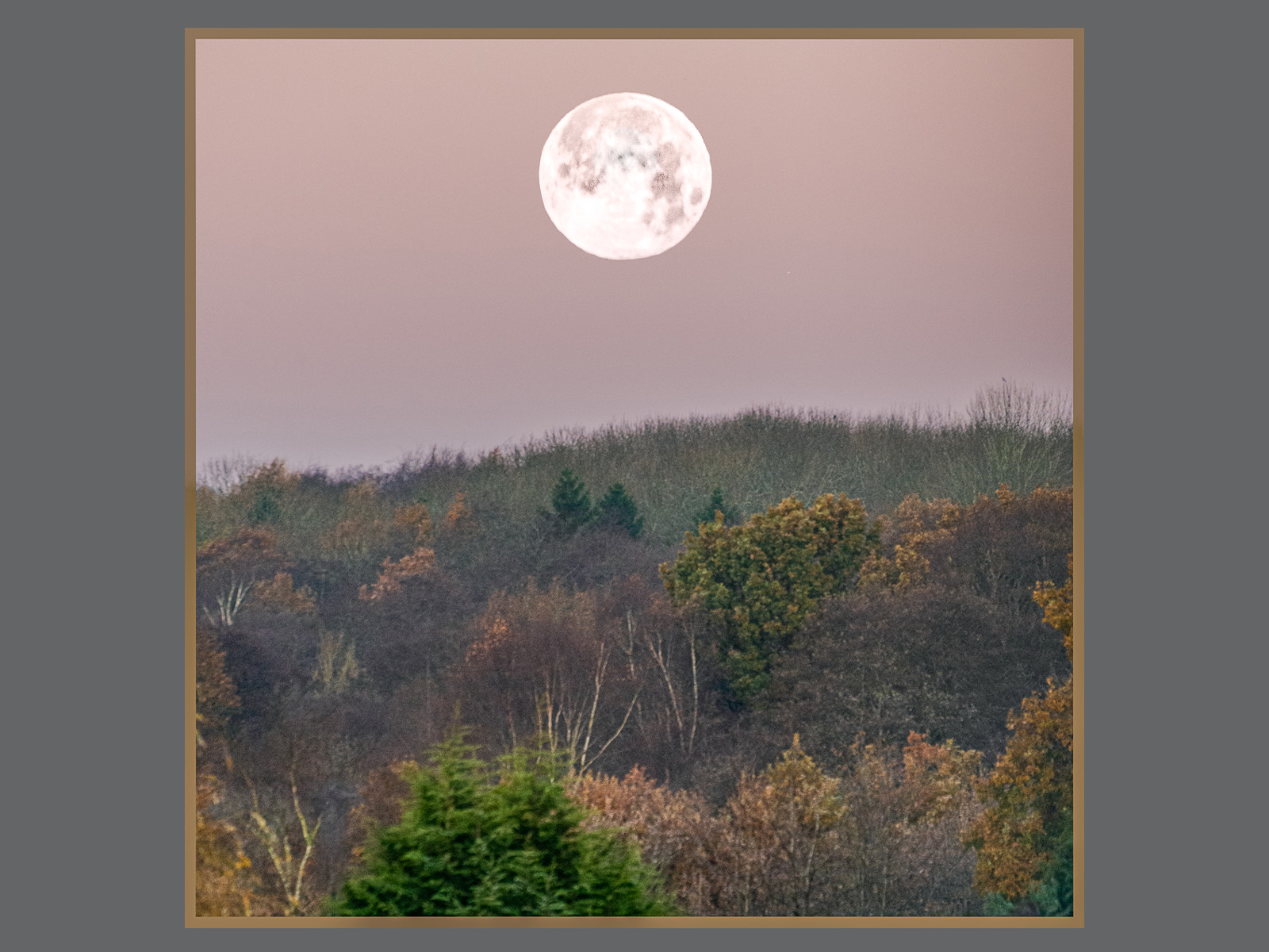 Full Moon at Sunrise