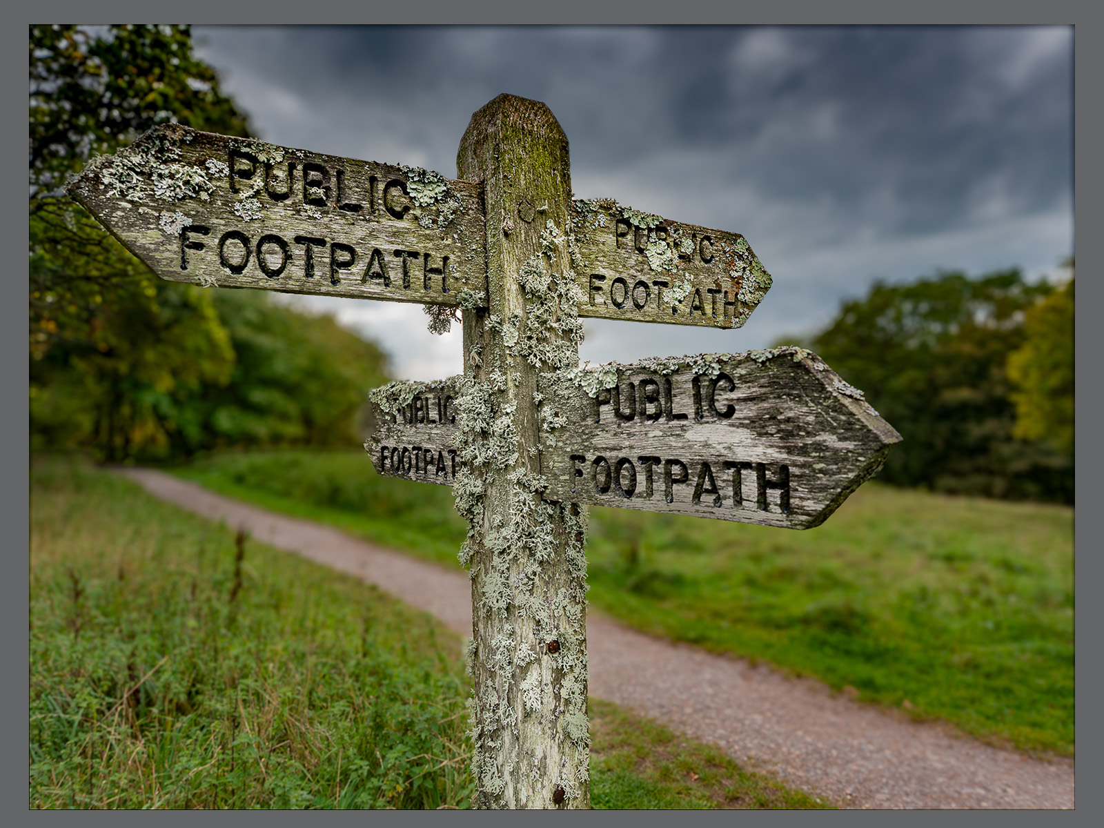 Which Way?