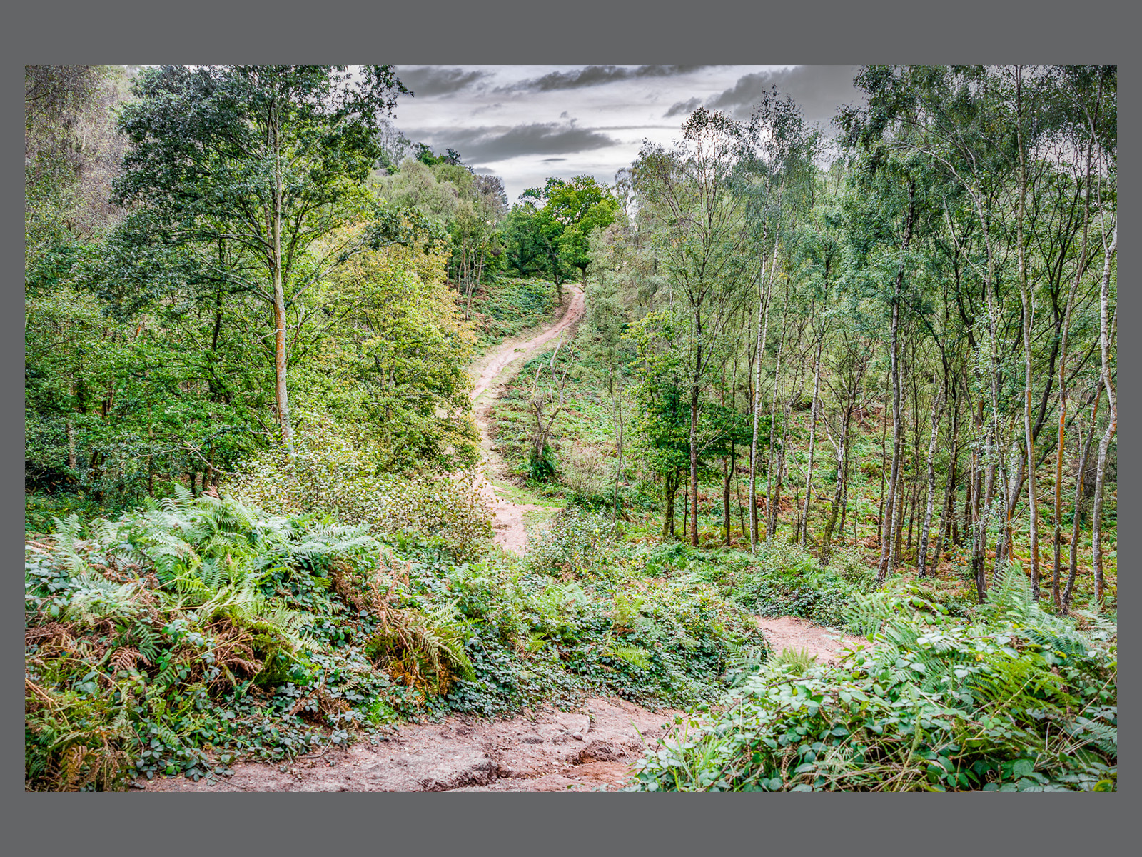 Early Autumn Walk, Kinver Edge