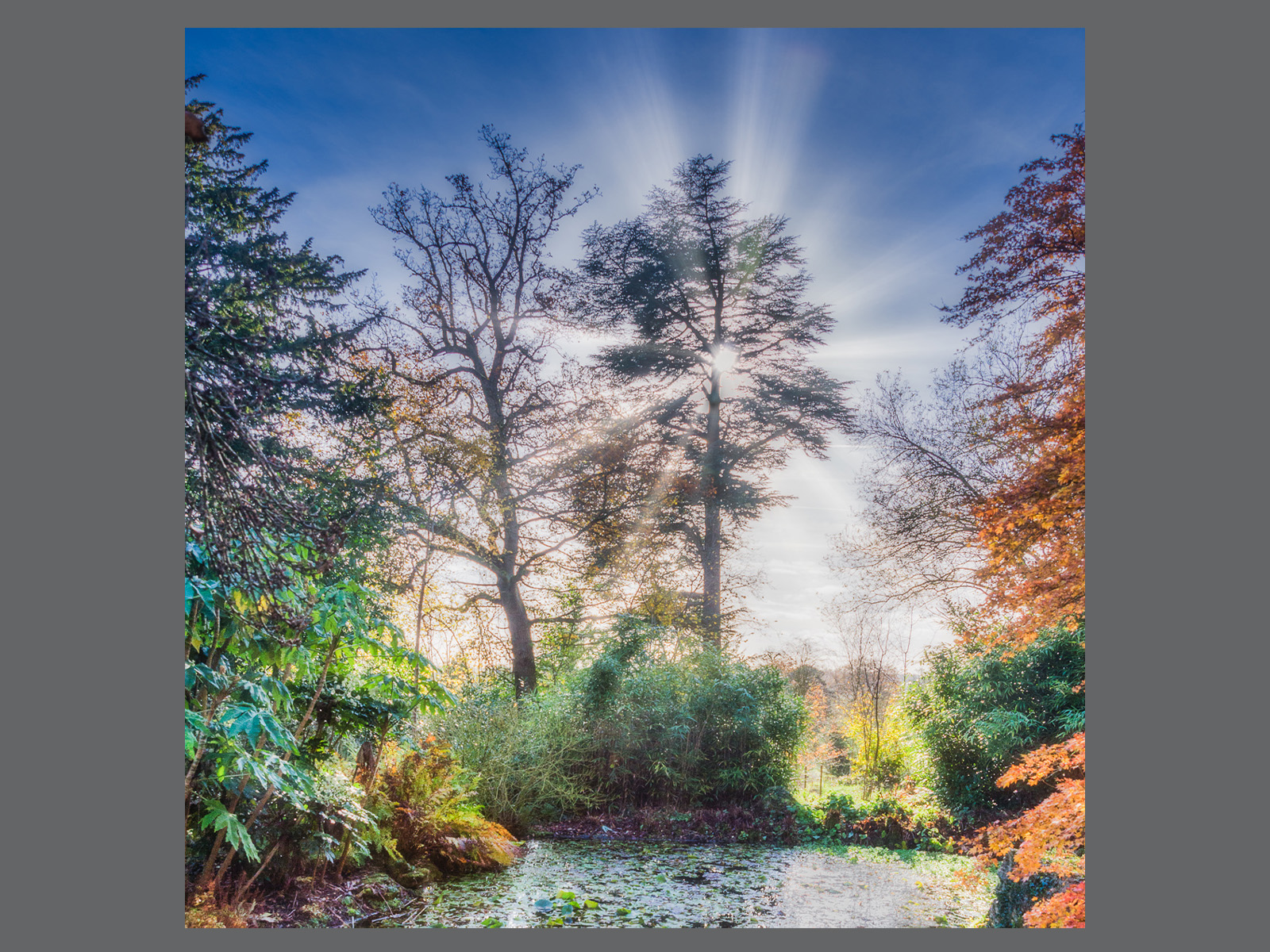 Sylvan Pool