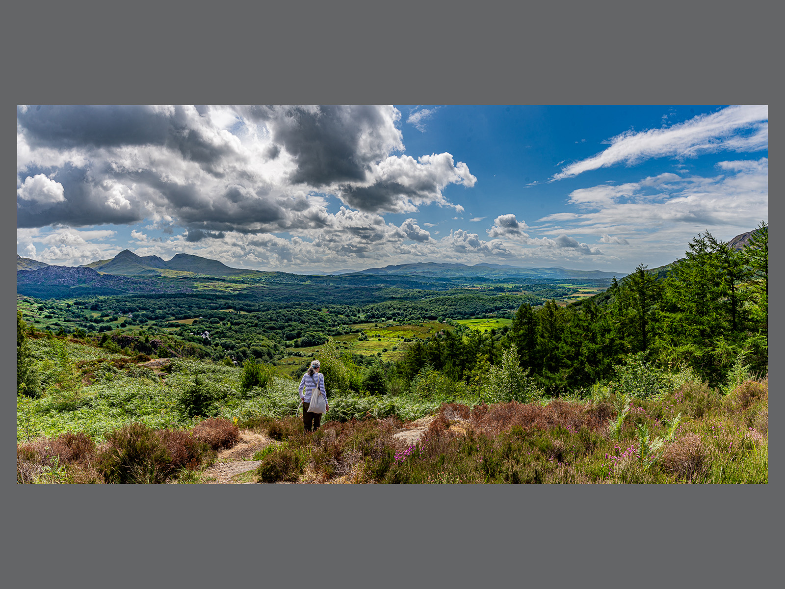 View toward Garreg