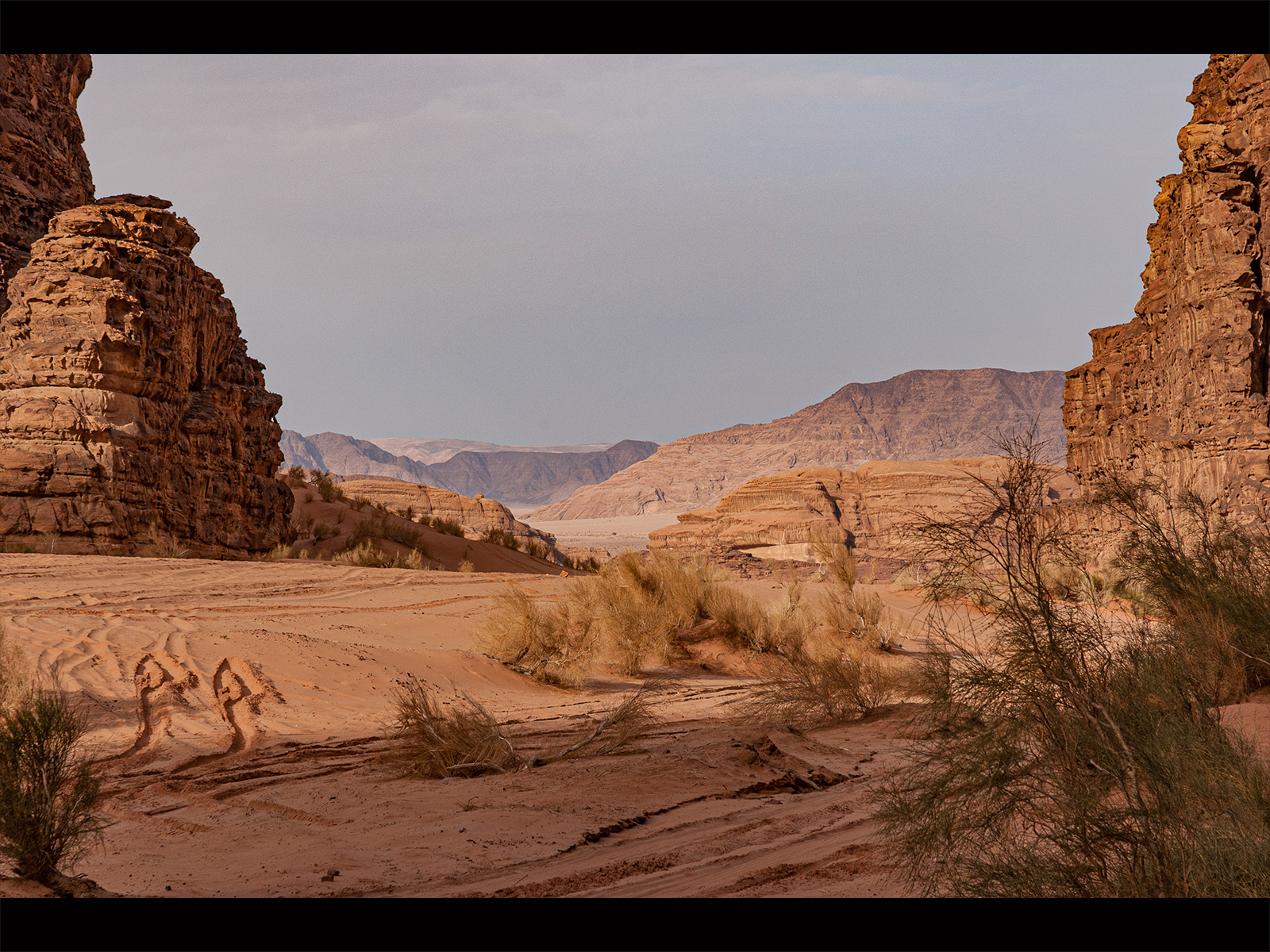 Wadi Rum I