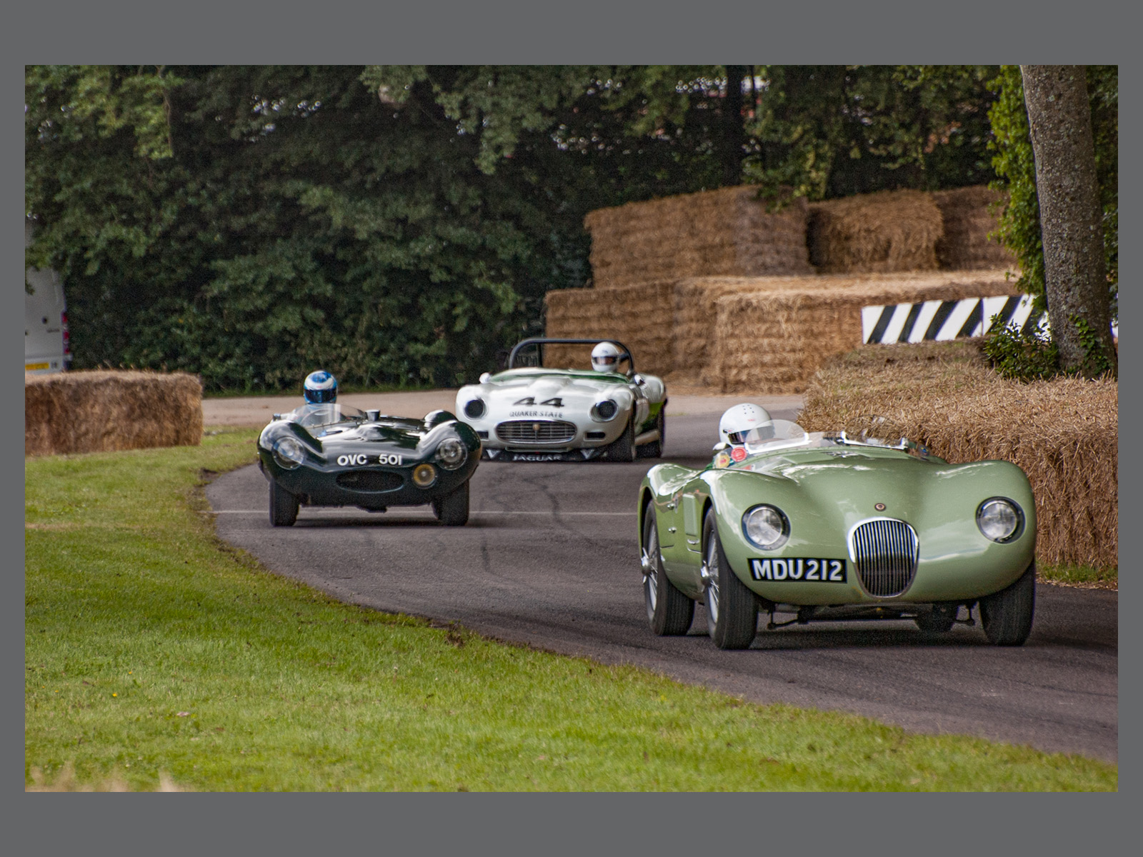 Big Cats at Goodwood