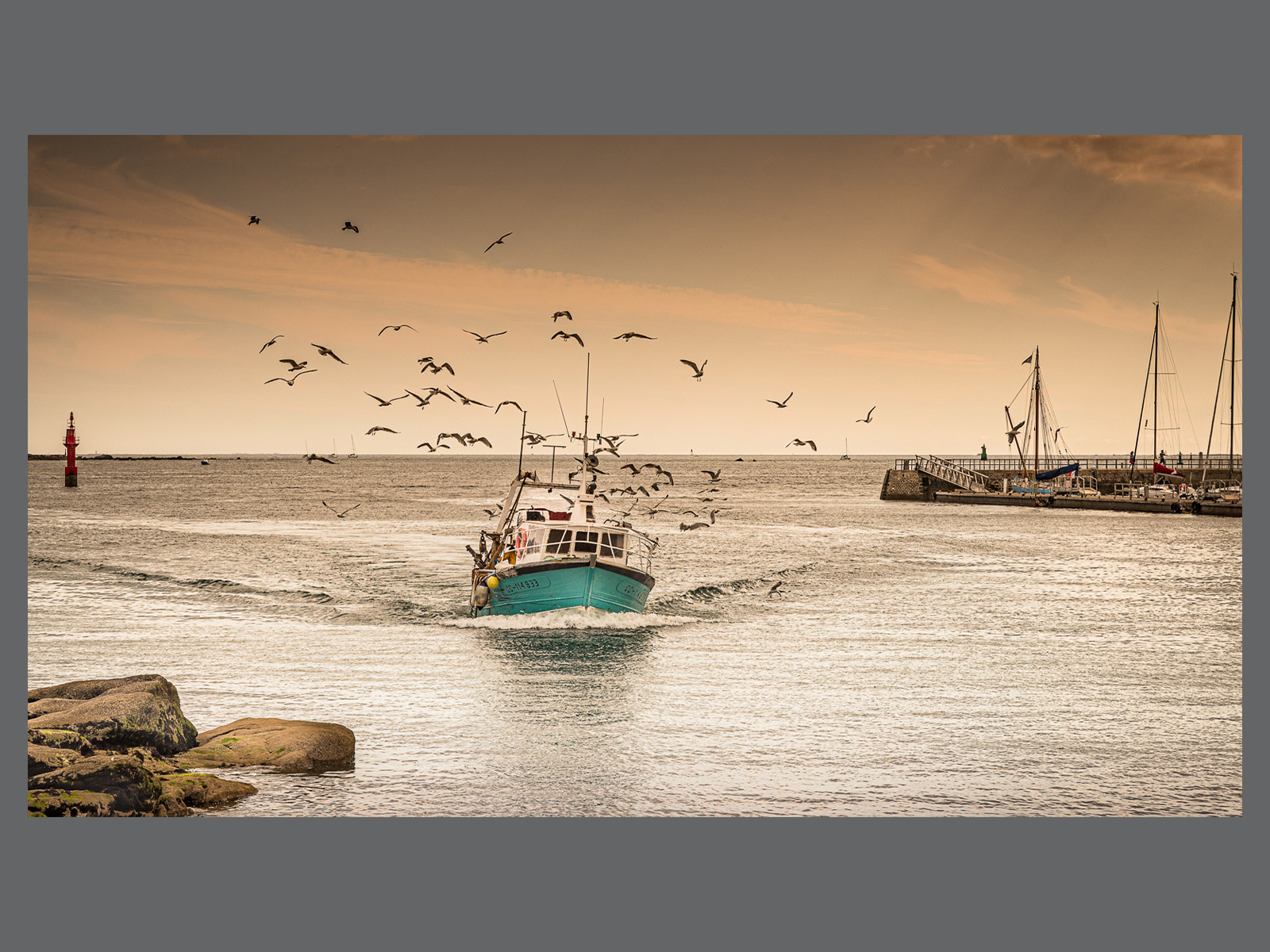 Evening Catch